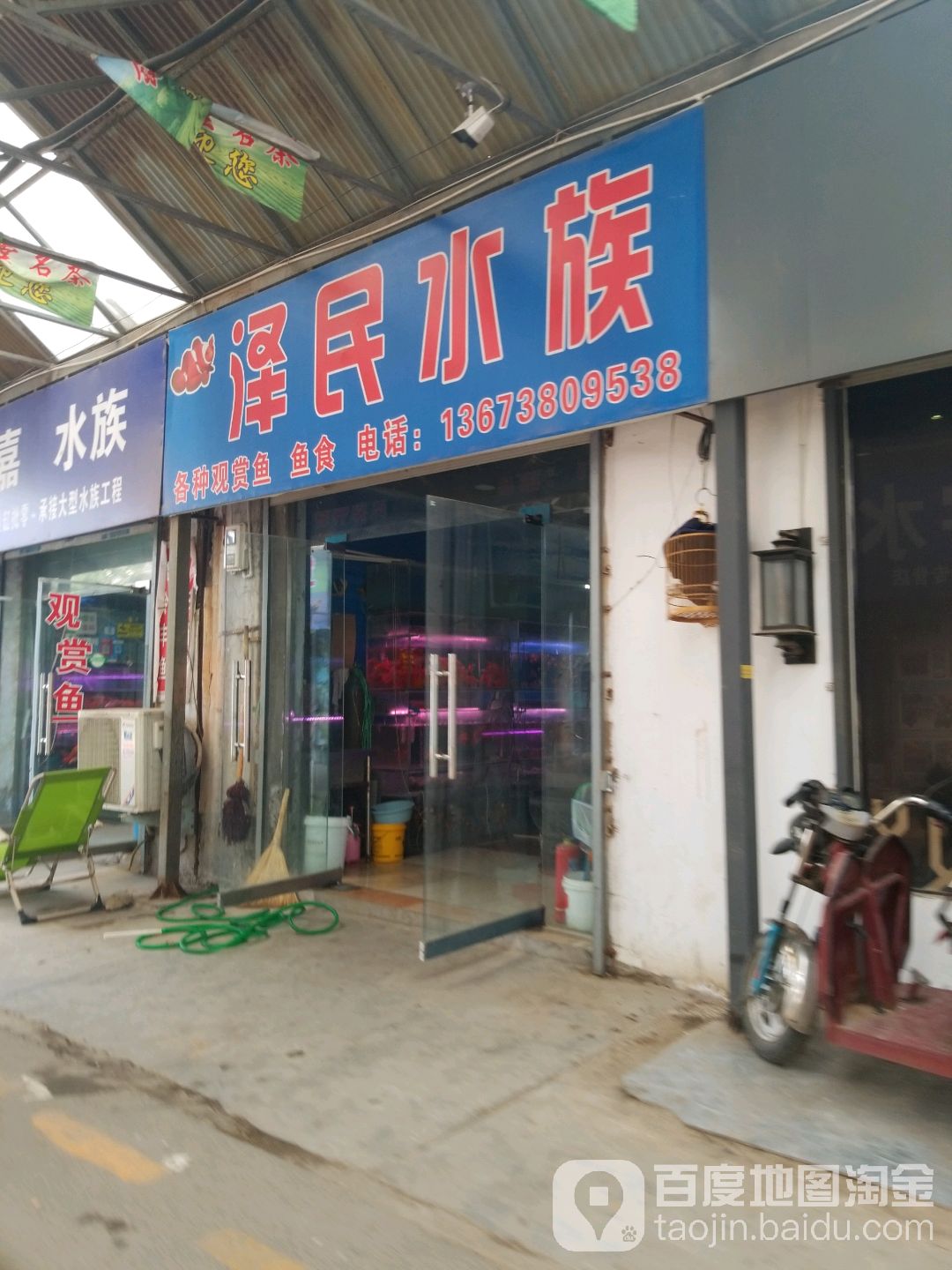 泽门水族
