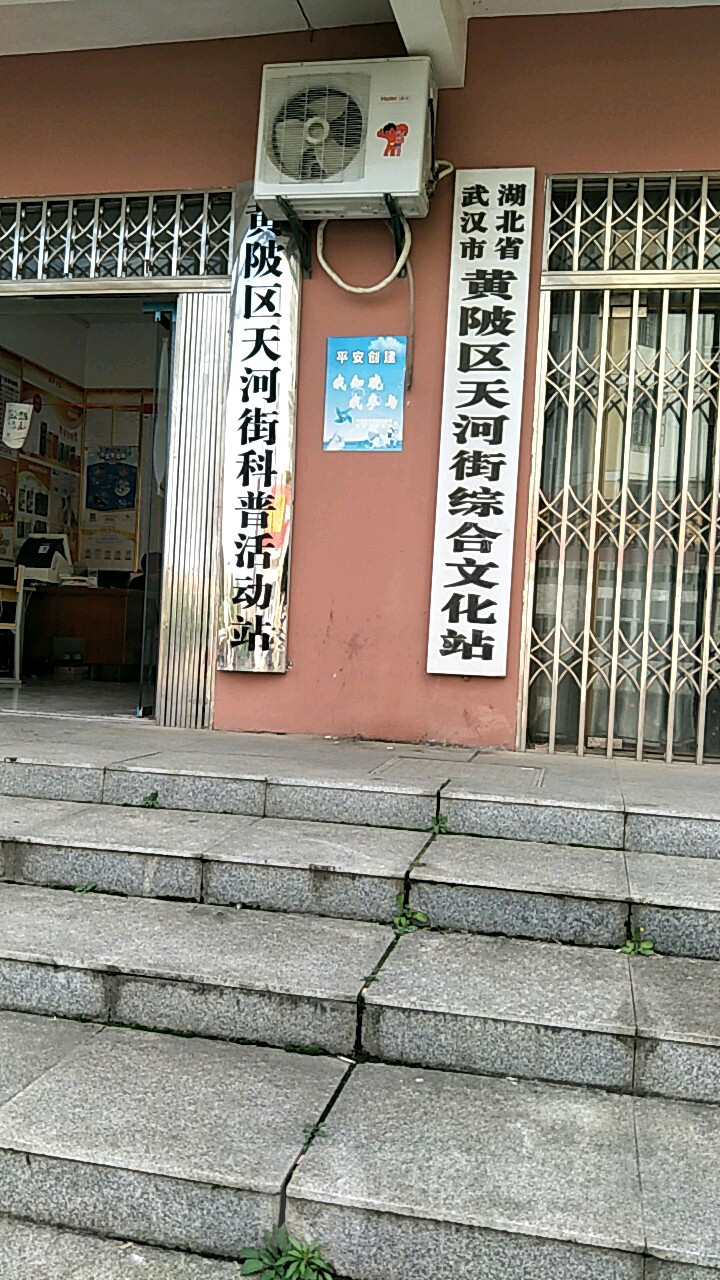 黄陂区天河街叶畅现状图片