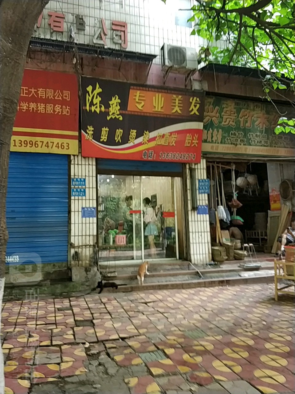 陈燕专业美发
