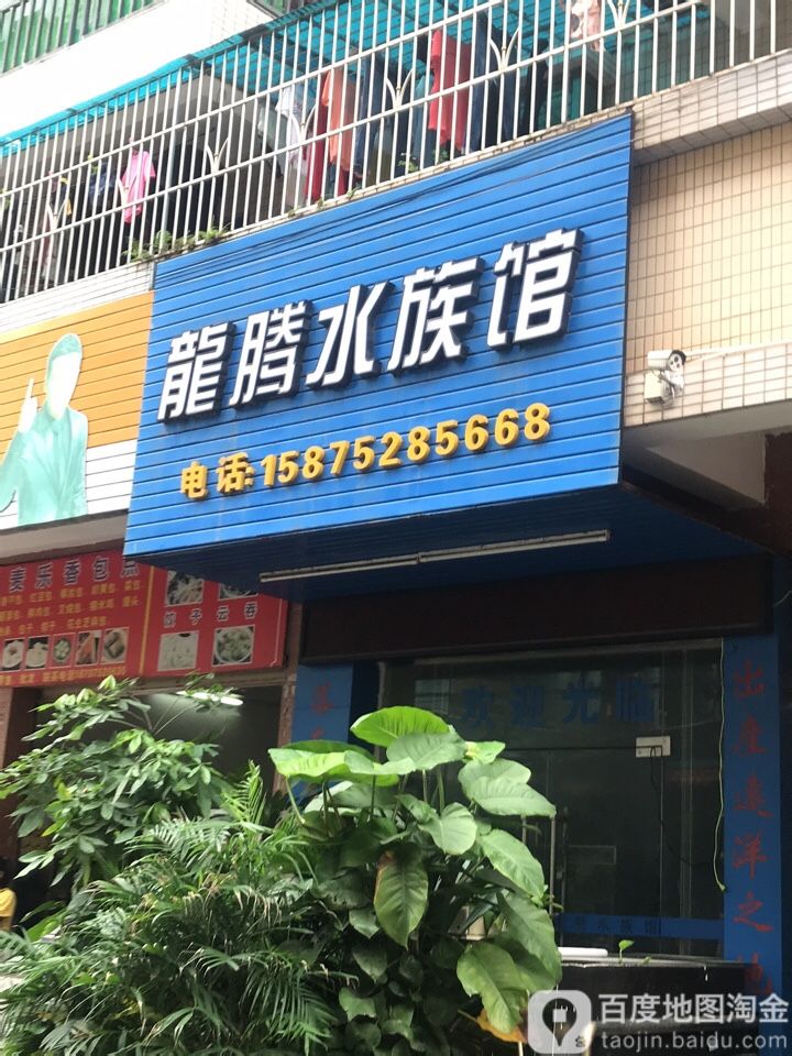 龙腾水族馆