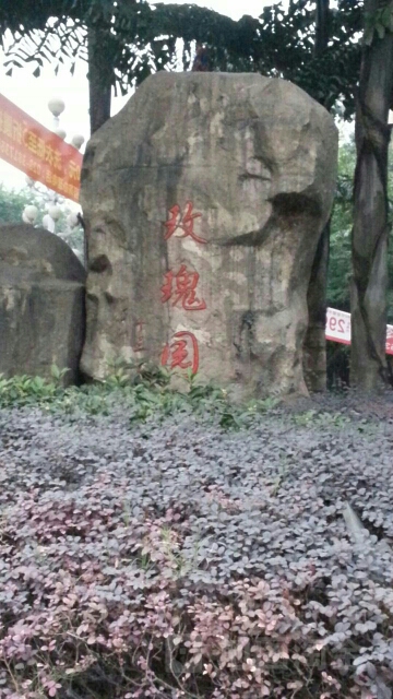 玫瑰园十三公寓