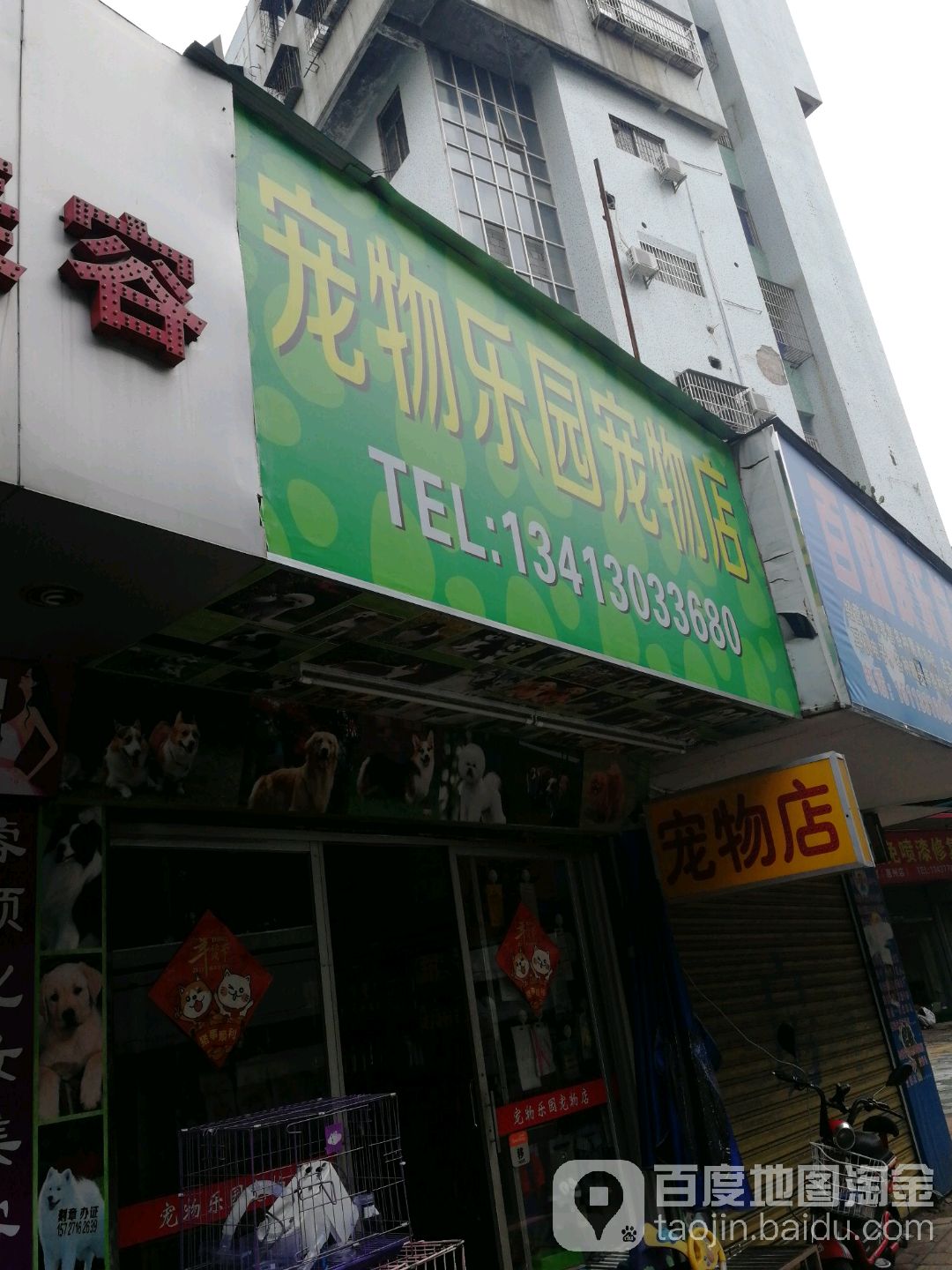 宠物乐园宠物店