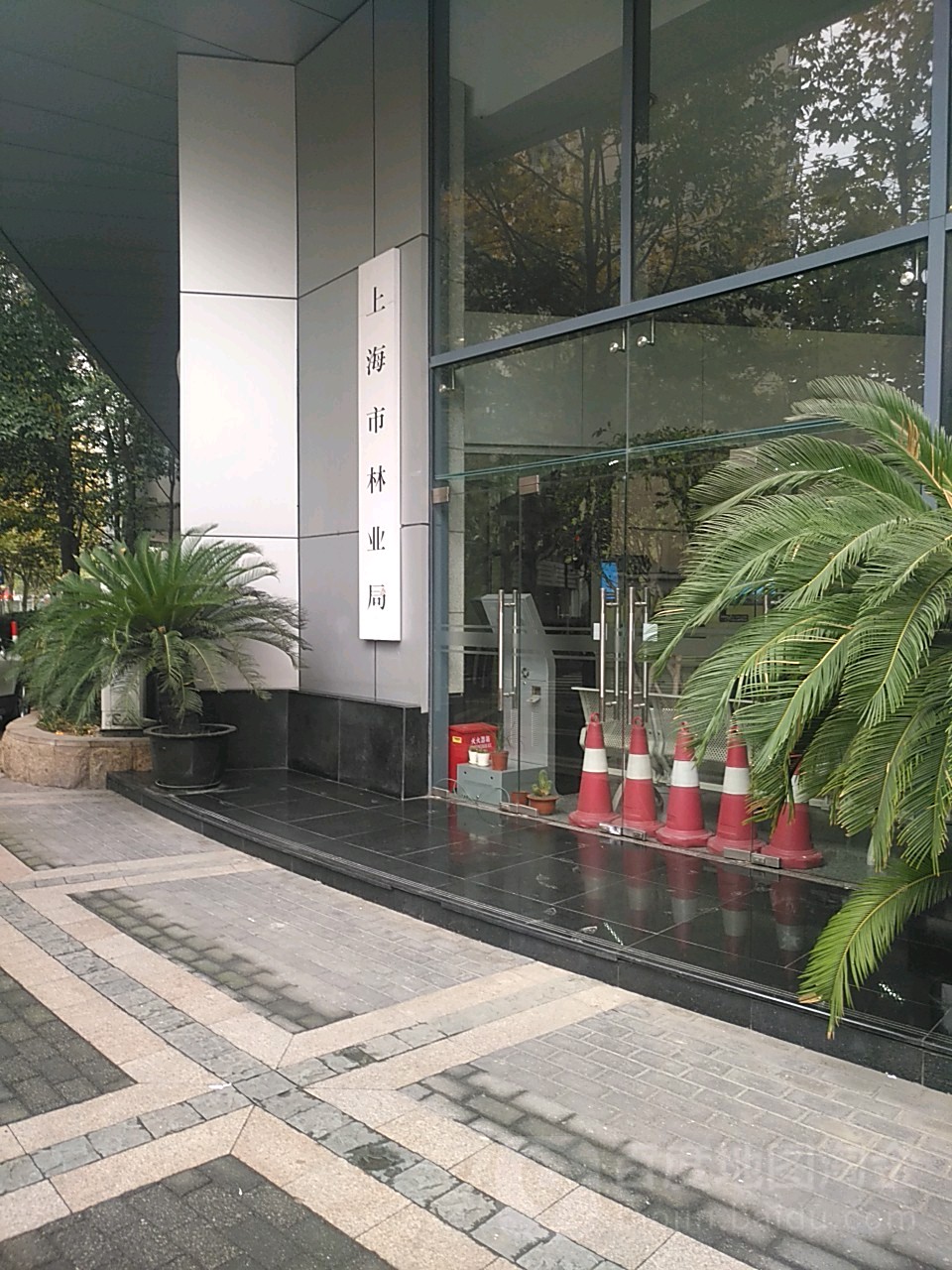 上海市林业和草原局