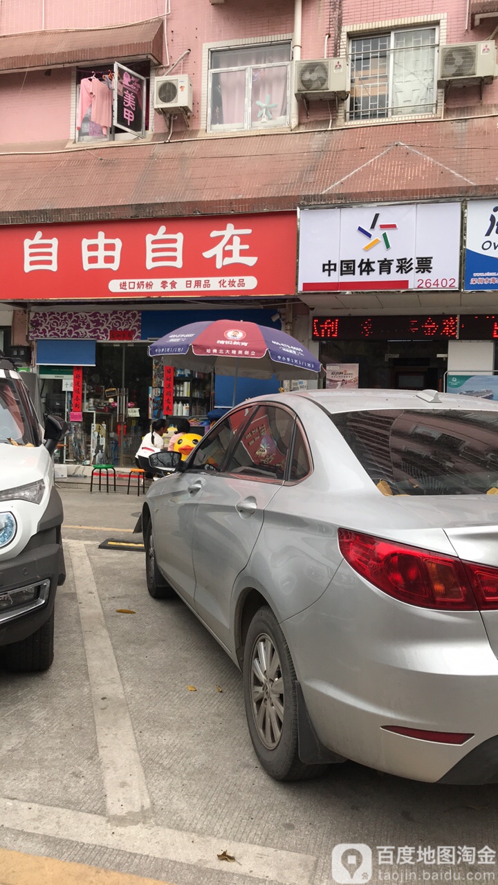 自由自在进口奶粉零食(桃园路店)