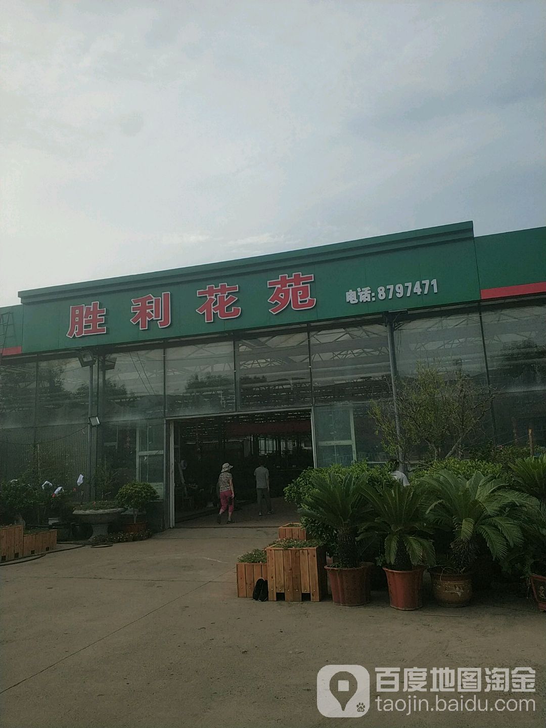 胜利花卉市场