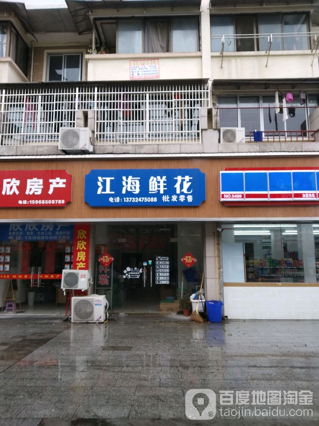 江海鲜花