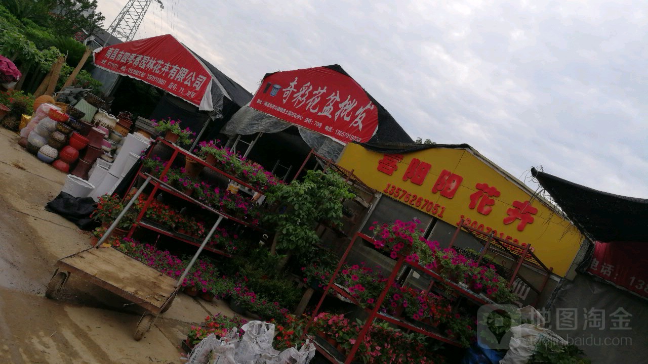 南昌市四季青园林花卉有限公司