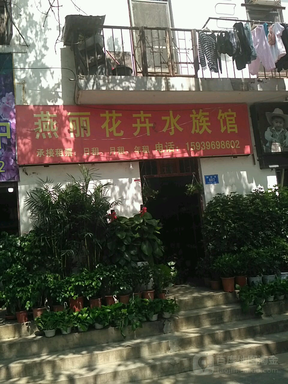 燕丽花卉水景馆