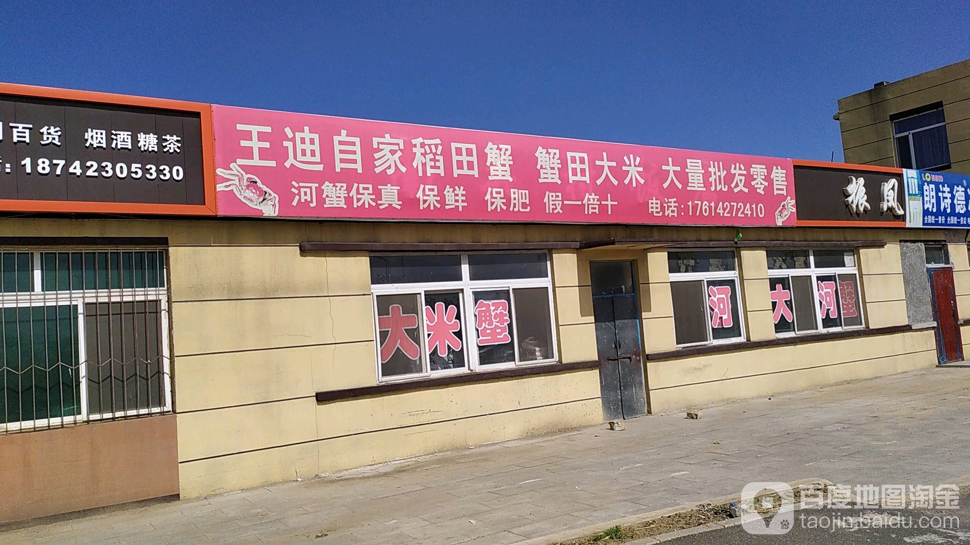 王迪自家稻田钓蟹蟹田大米大量批发零售