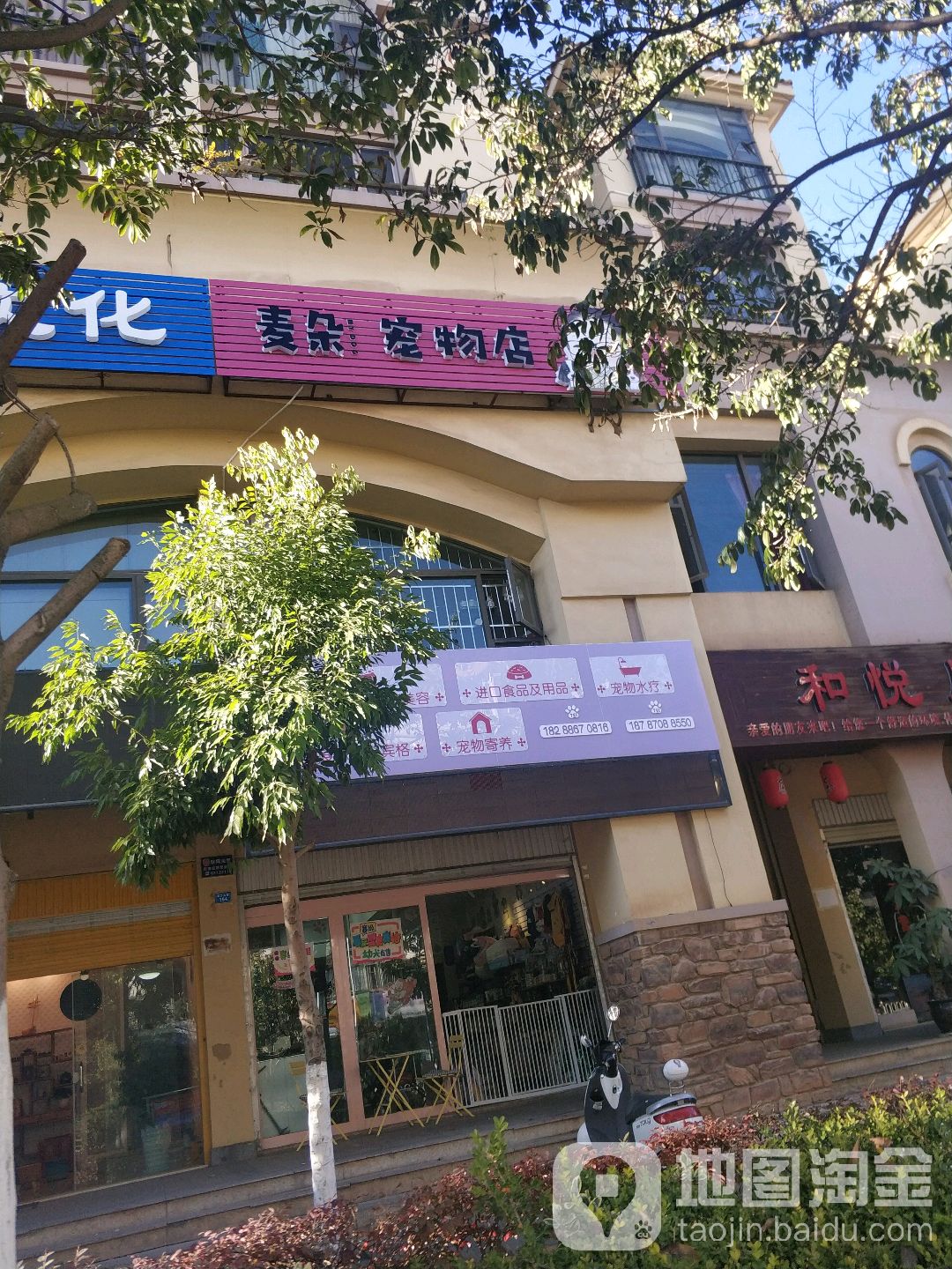 麦朵宠物店