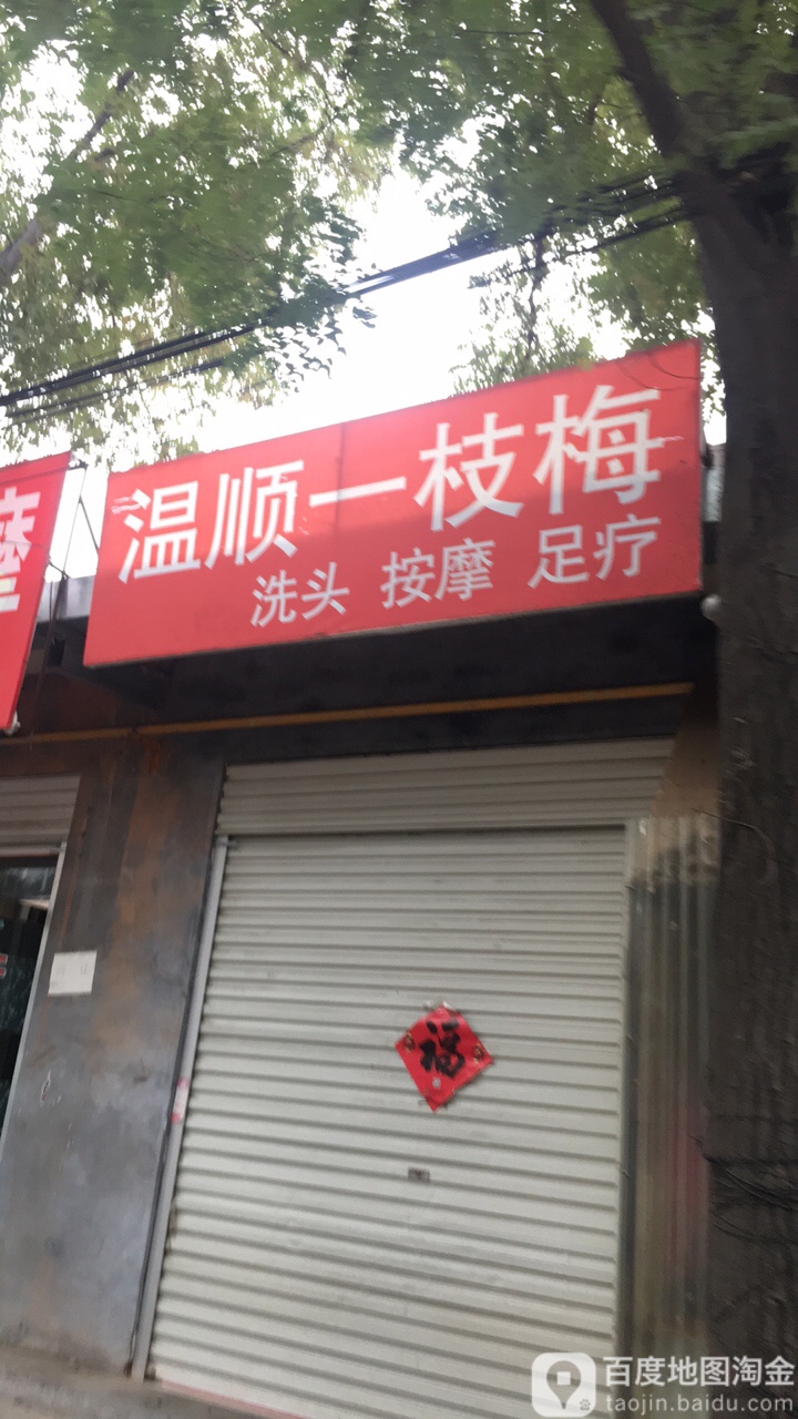 温顺一枝梅洗头按摩足疗