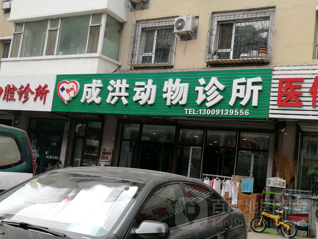 成洪动物诊所