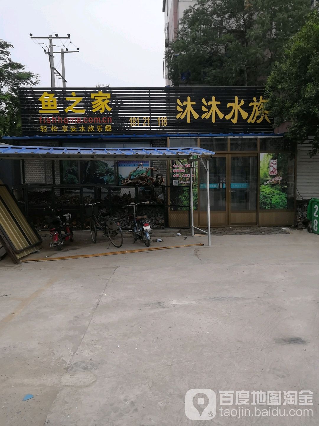 沐沐羊水族