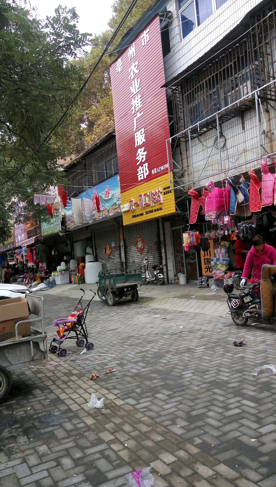 亳州市农业推广服务部