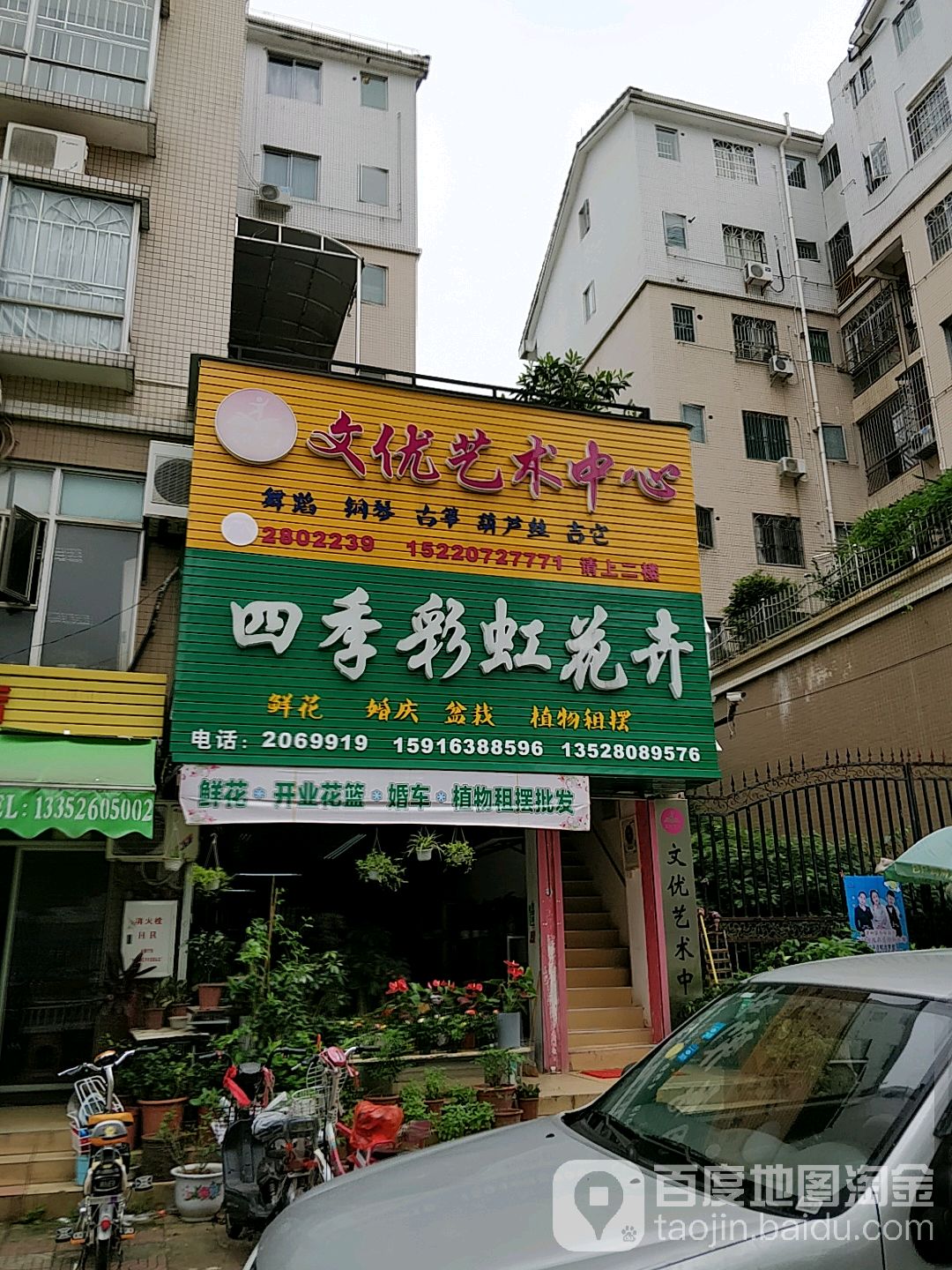 四季彩虹花卉