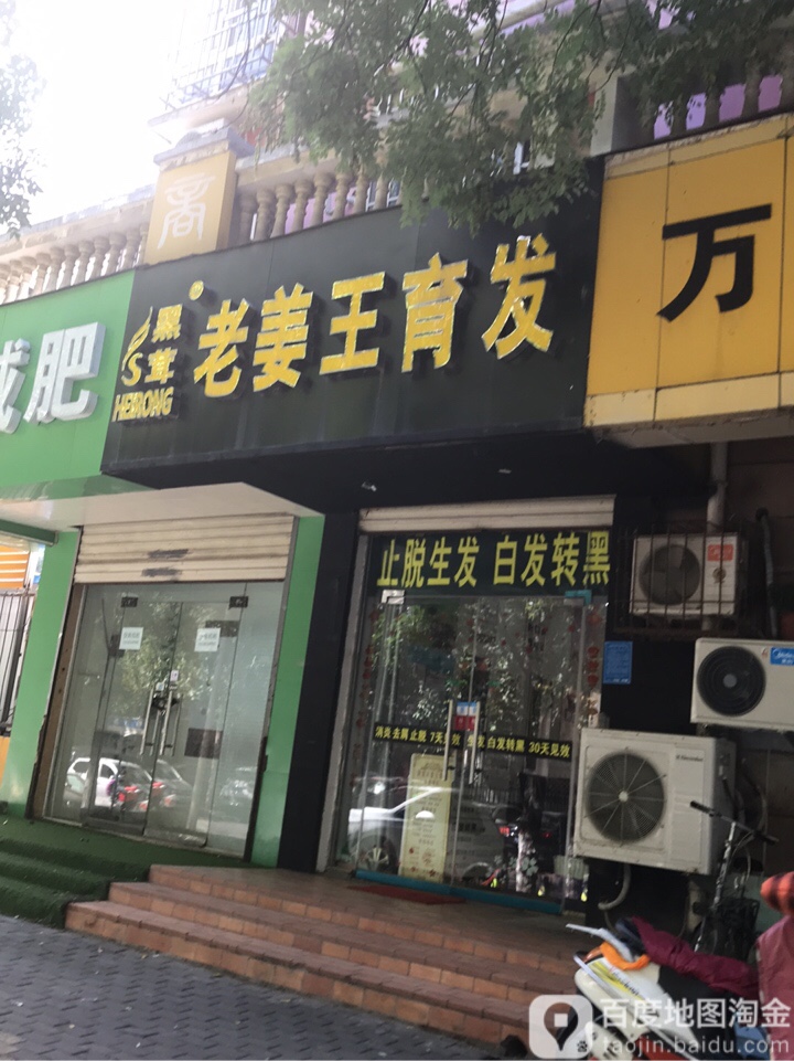 黑茸老姜王育发会所(明达路店)