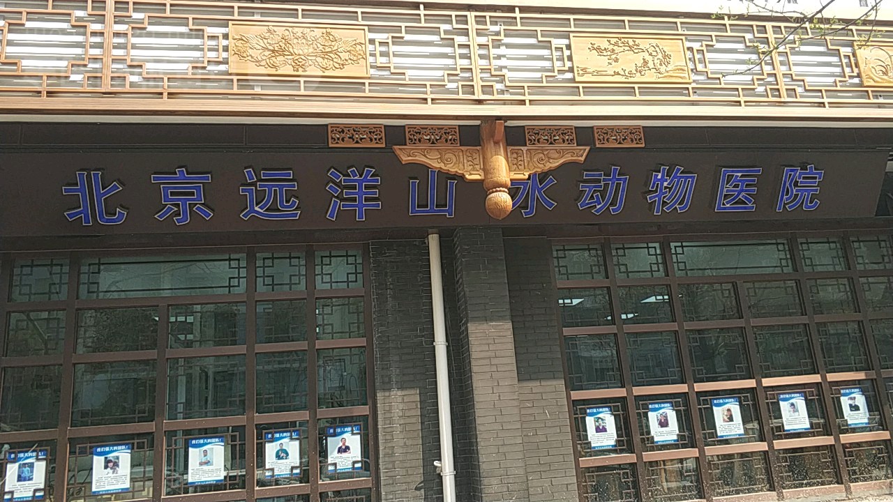 北京远洋山水动物医院