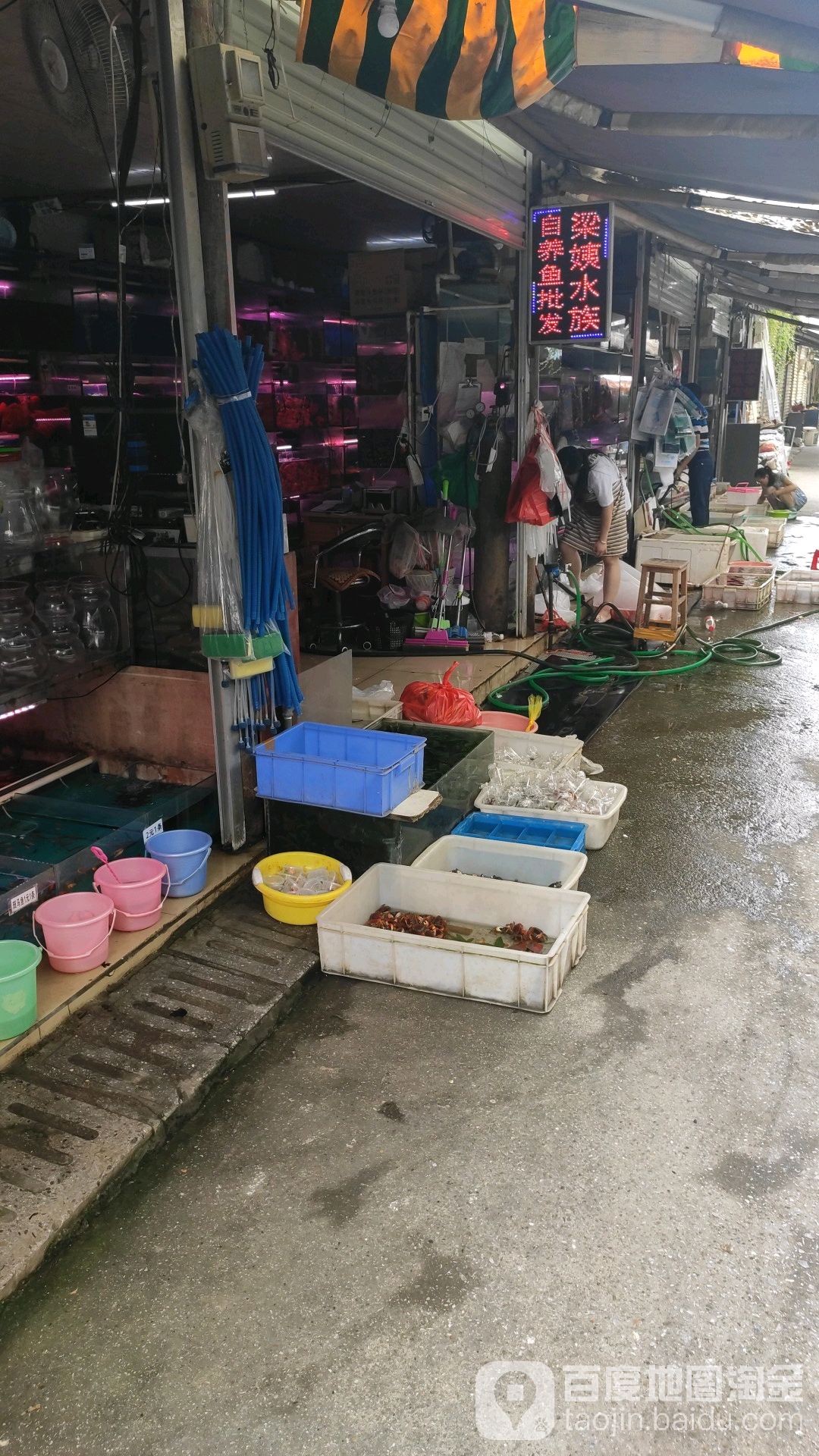 梁姨水族