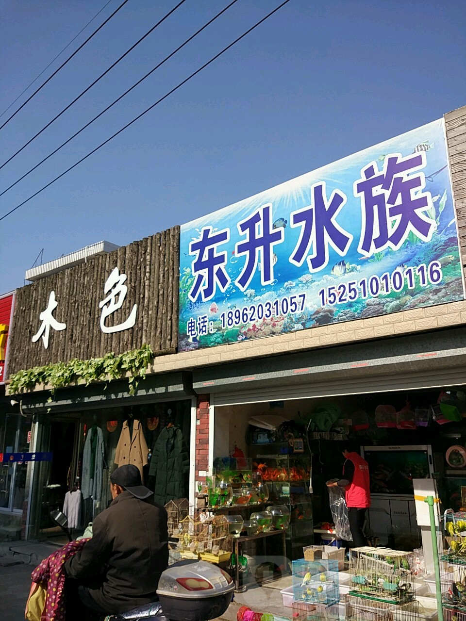 东声水族(学府东路店)