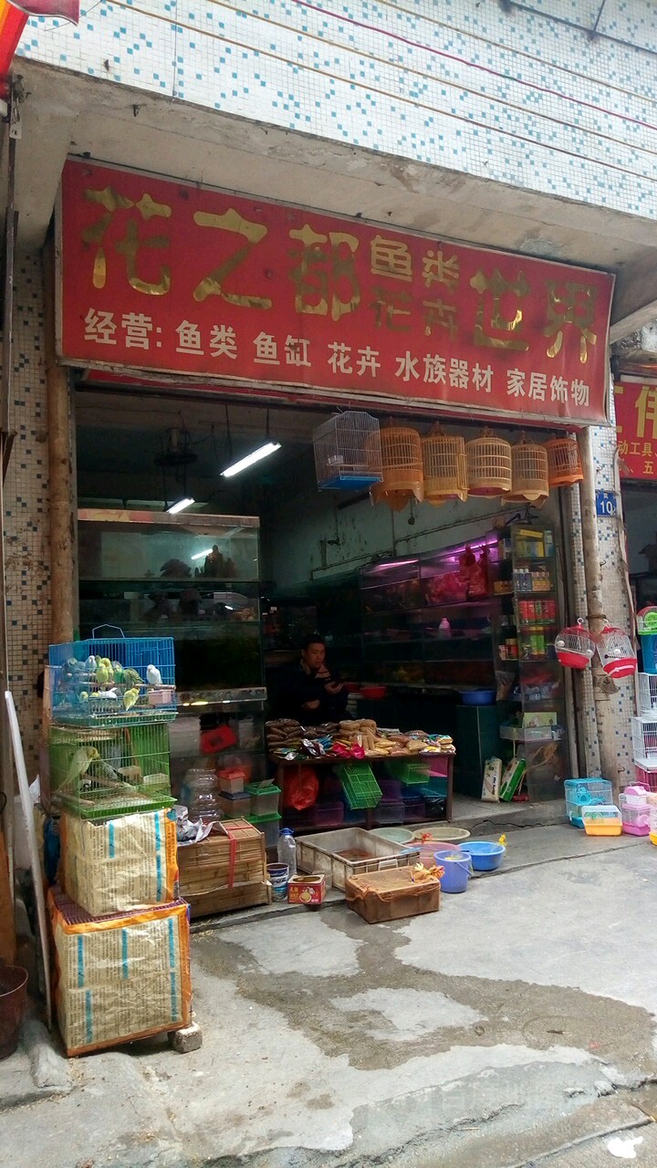 华志都水族