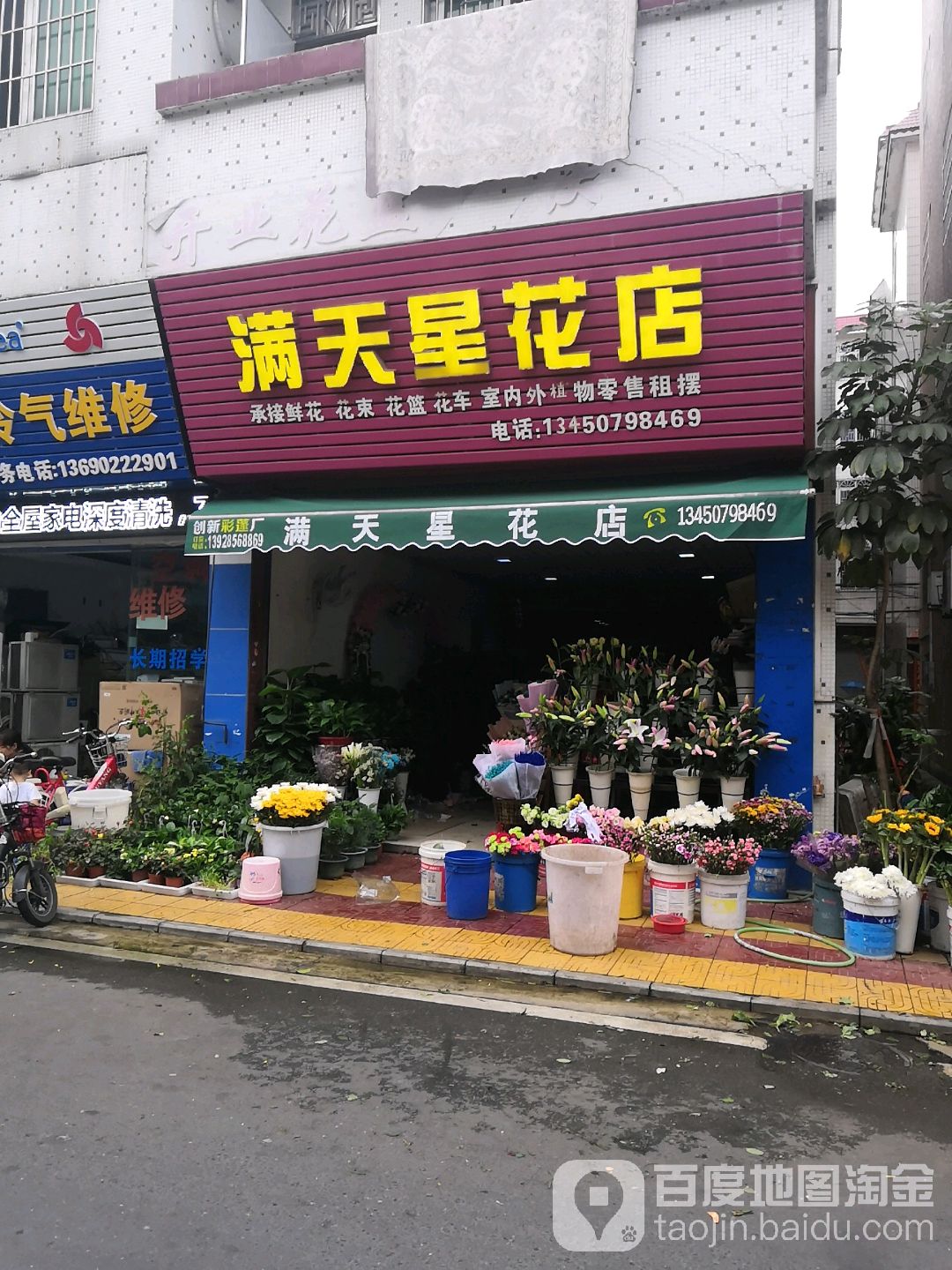 满天星花店(松岗店)