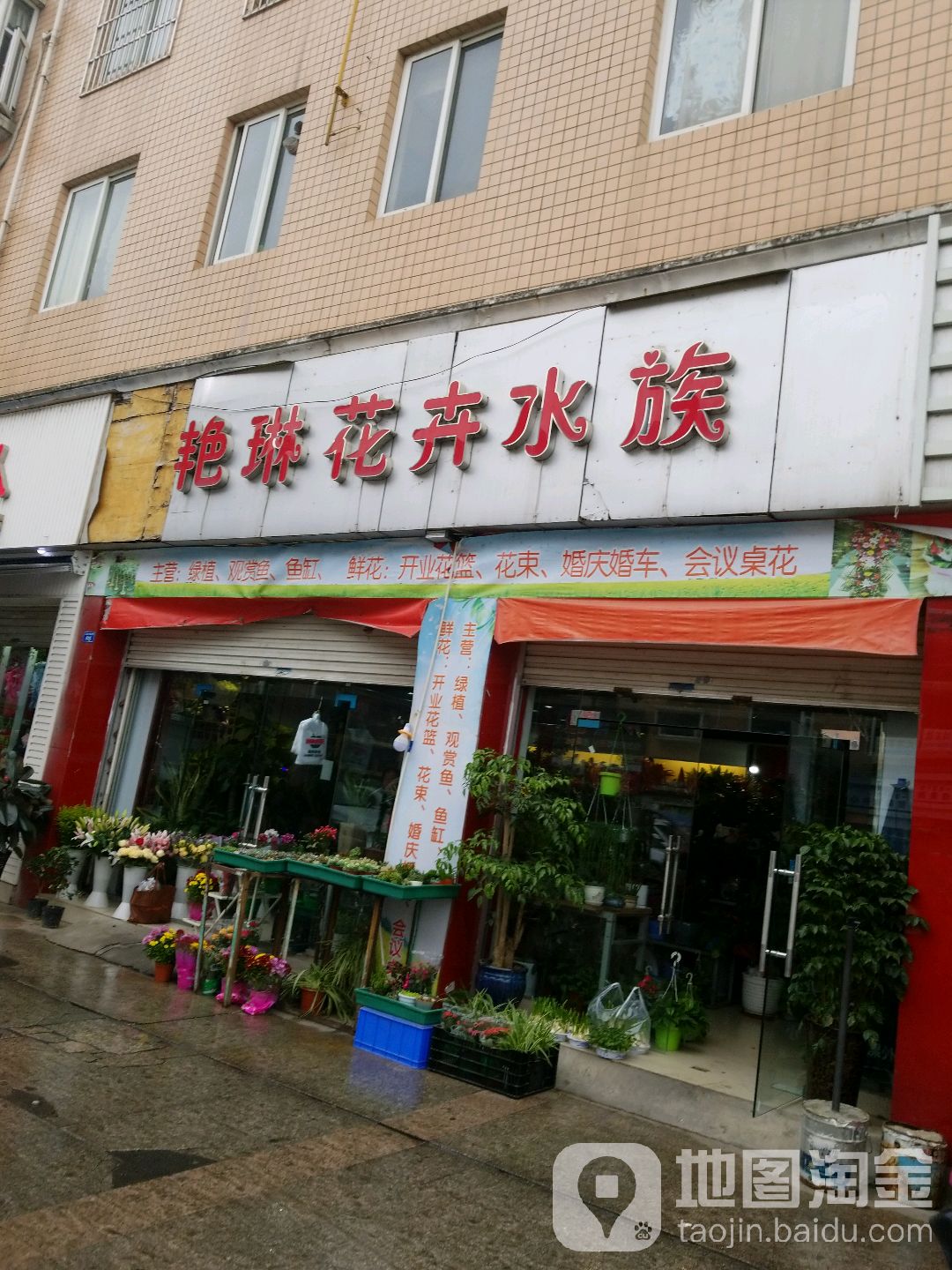 艳莲花卉水族(正北中街店)