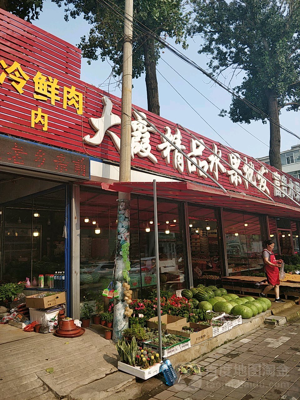 大霞精品水果批发