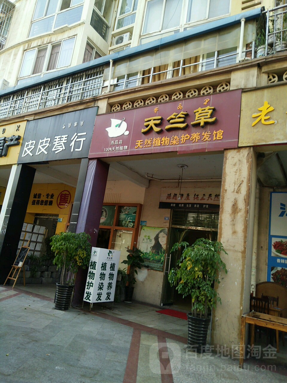 天竺草(西昌店)