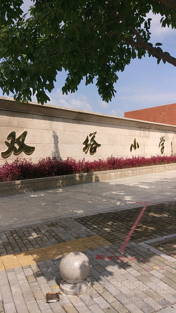 江山双塔小学图片