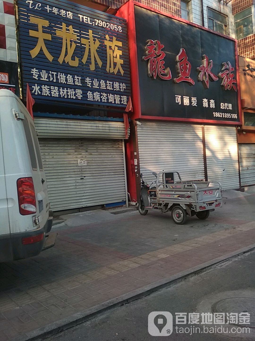 龙鱼水景