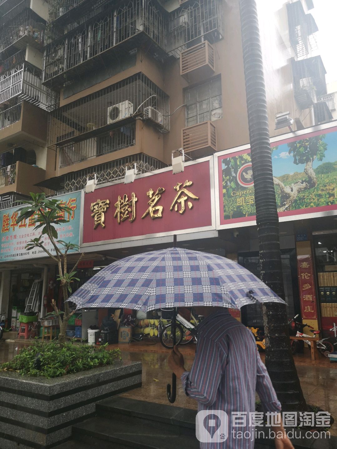 宝树茗茶(黄贝路店)