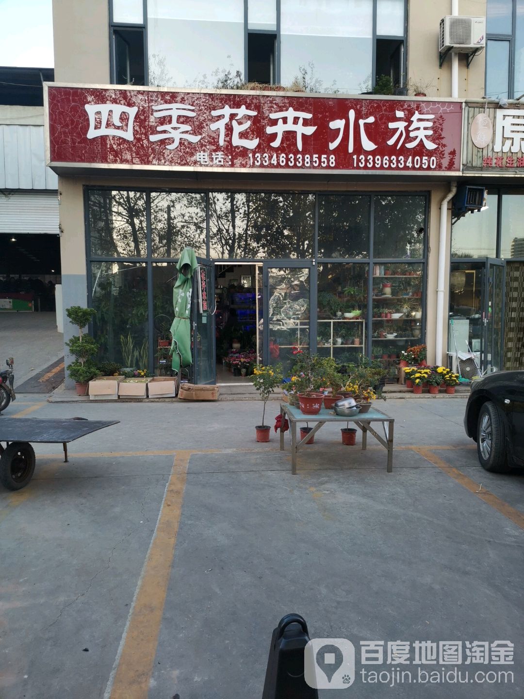 四季花卉水族