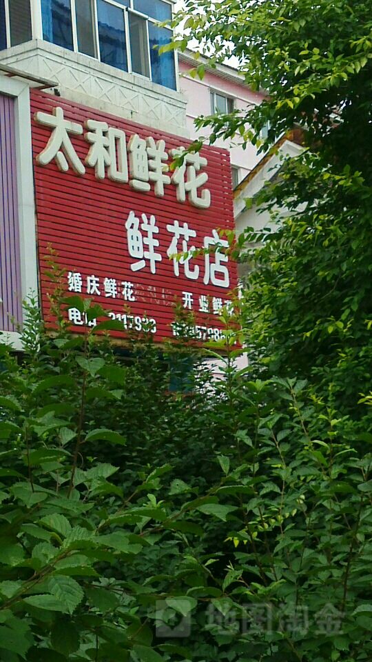 太和鲜花店