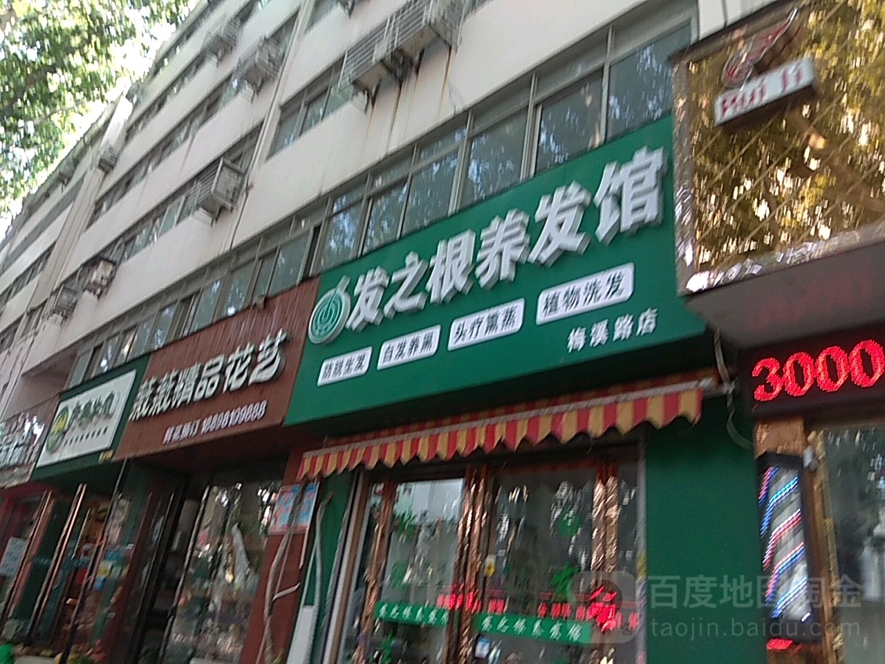 薇薇精品花艺(南阳本地实体花店)