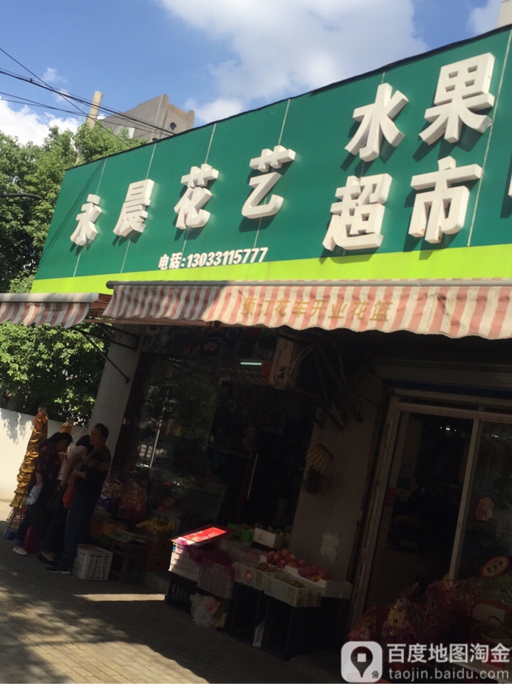永晨花一