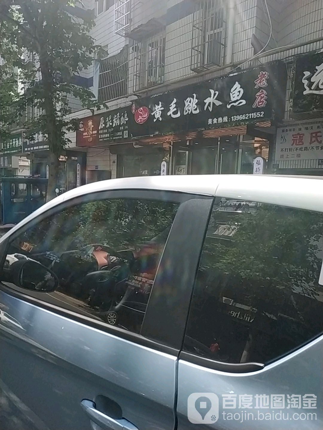 黄毛跳水鱼排挡