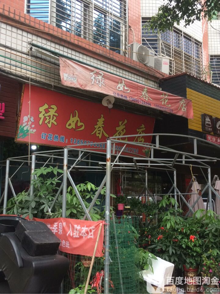 绿如春花卉