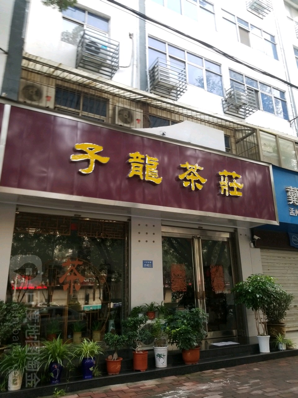 子龙茶馆孟州店