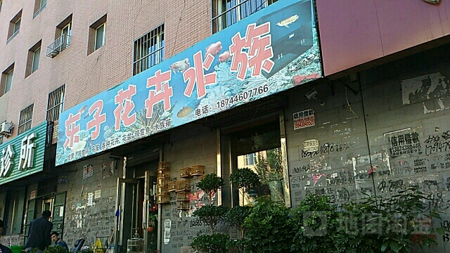 东子花卉水族