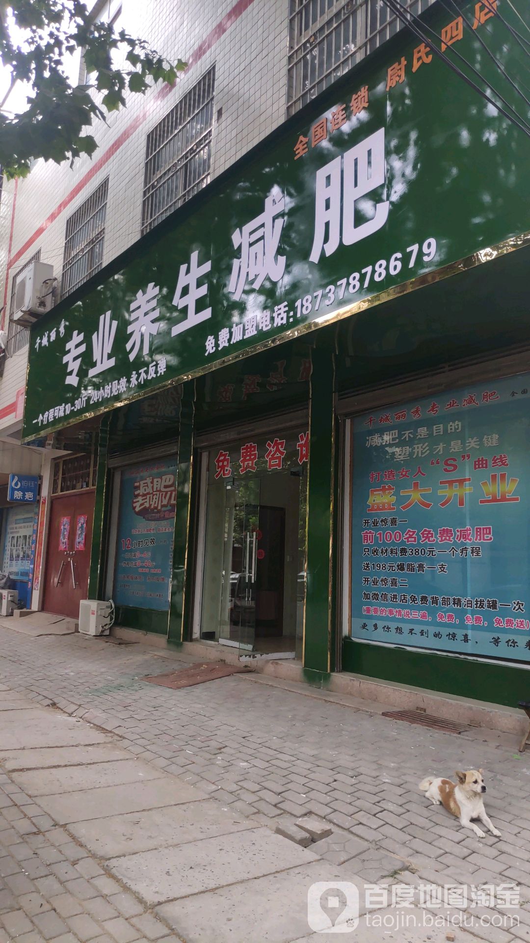 干城丽秀专业养生减肥(尉氏四店)