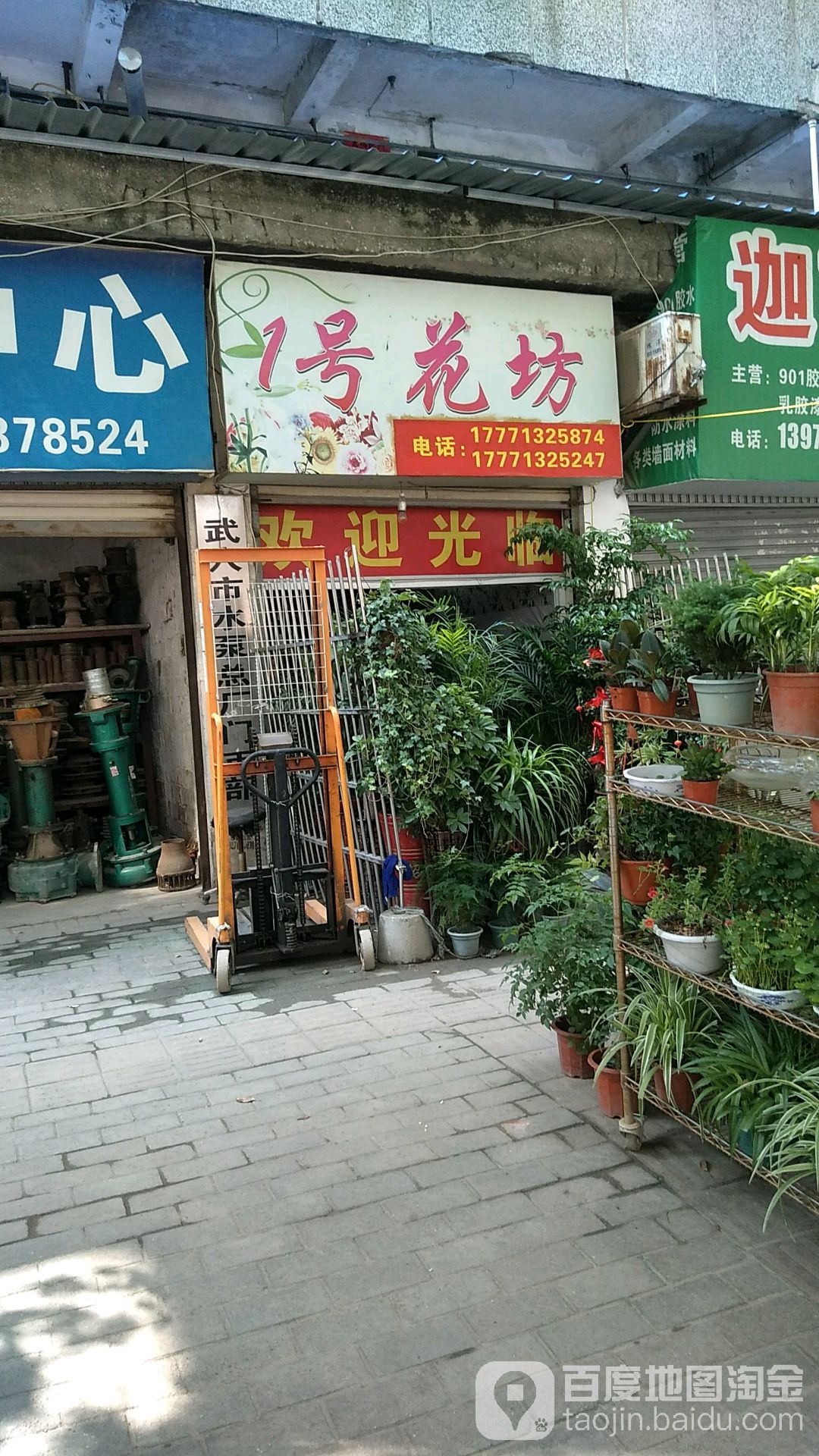 1号花坊
