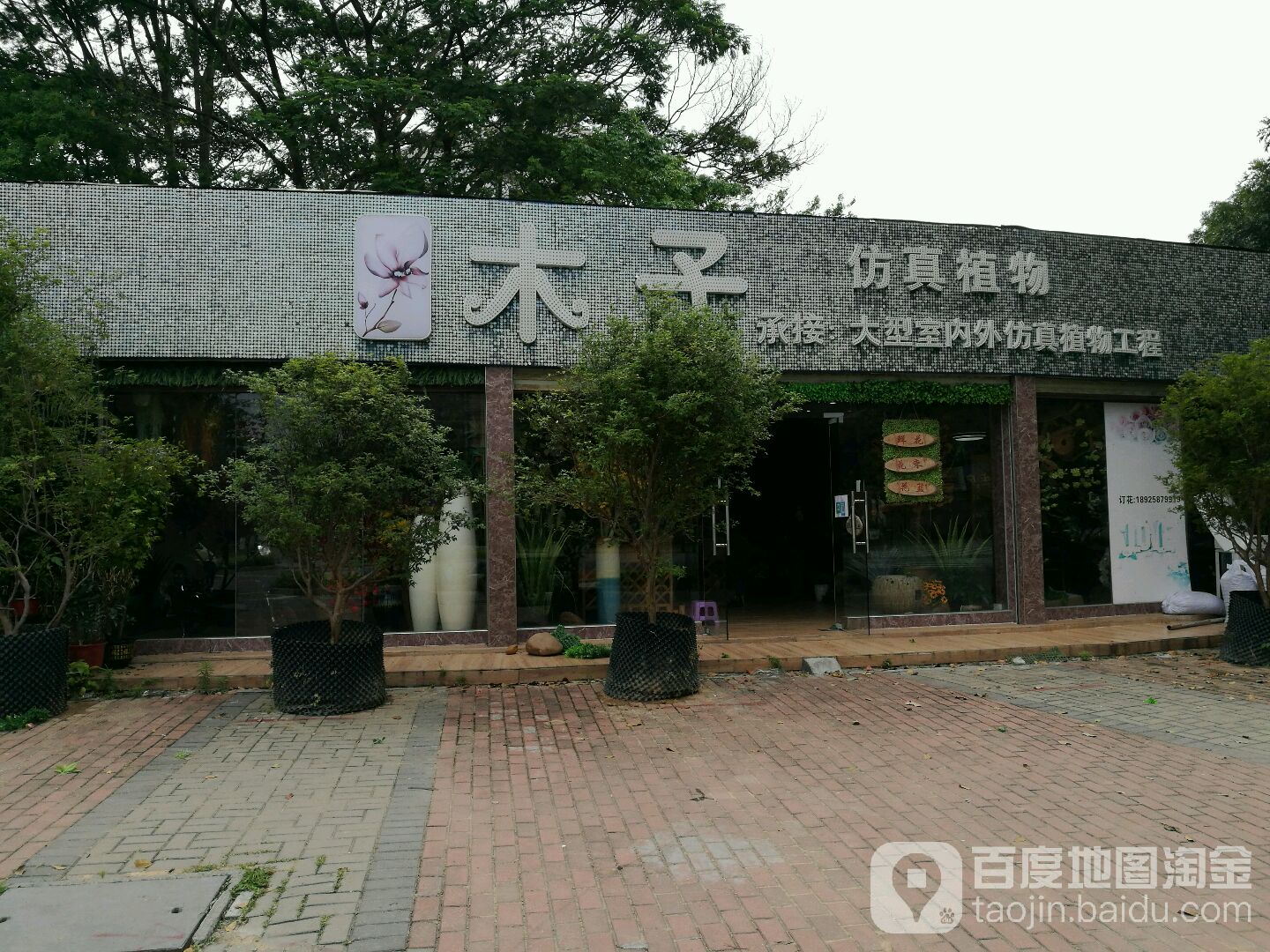 木子仿真植物