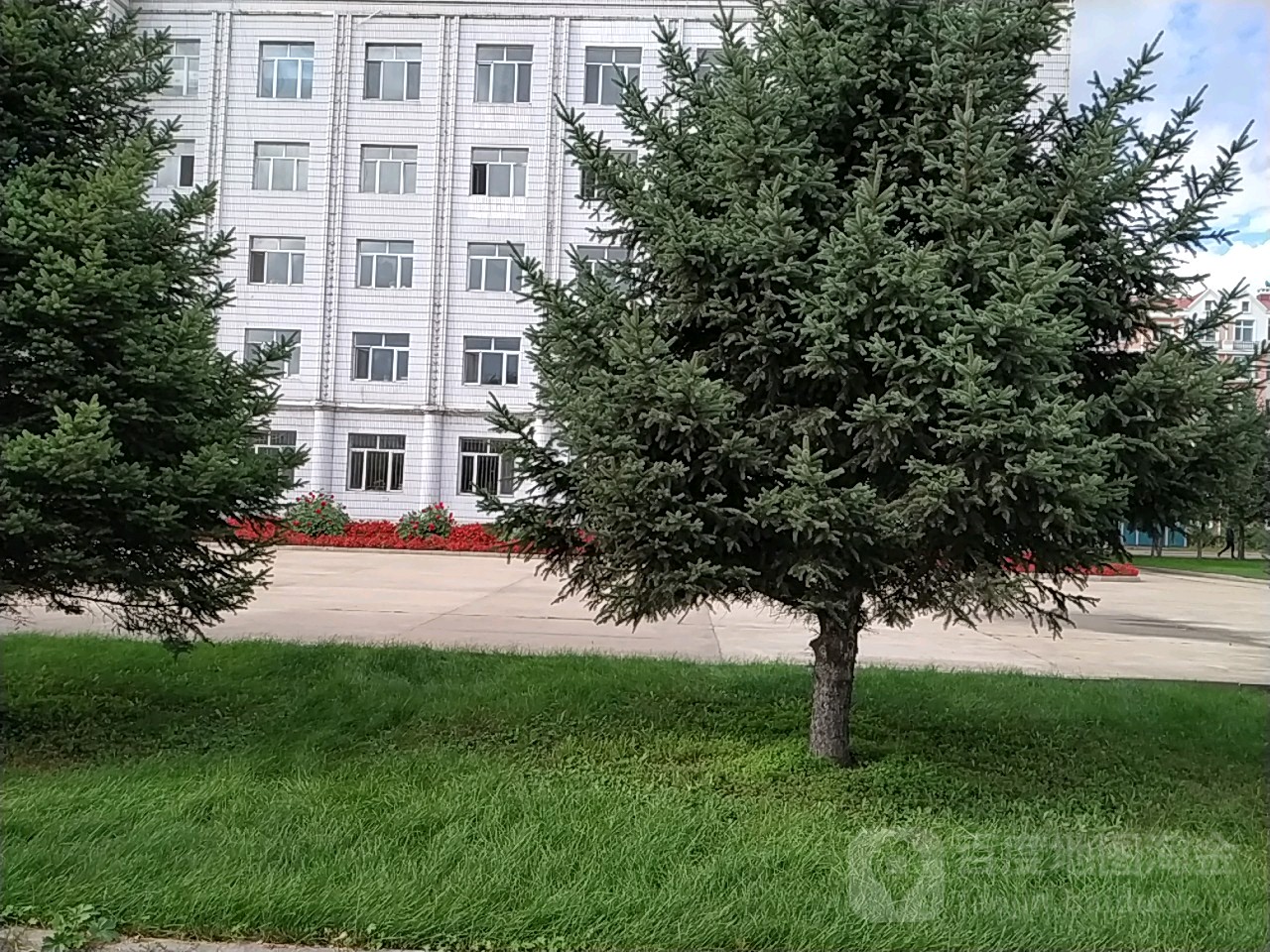 黑龙江省伊春市金林区花园街1号