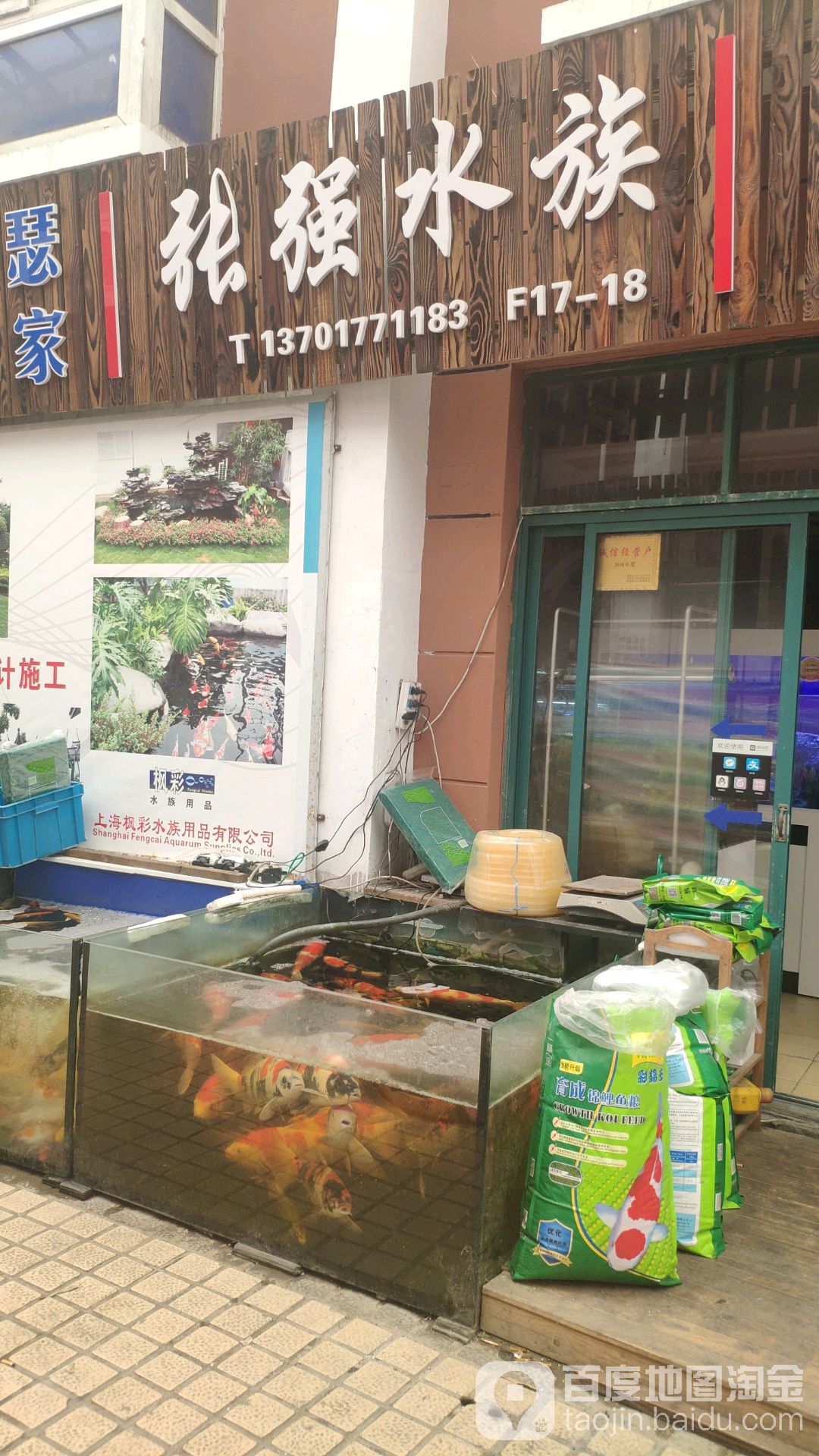 张强水族(上海岚灵花鸟综合创艺园店)