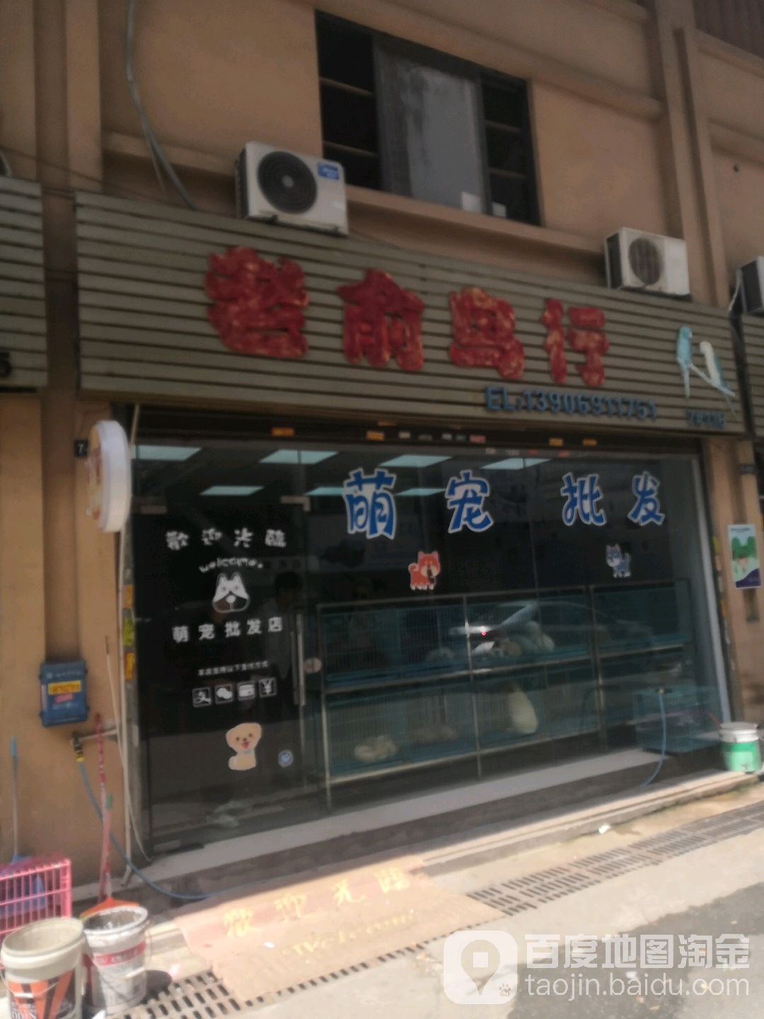 新老俞鸟行(国艺花鸟市场店)