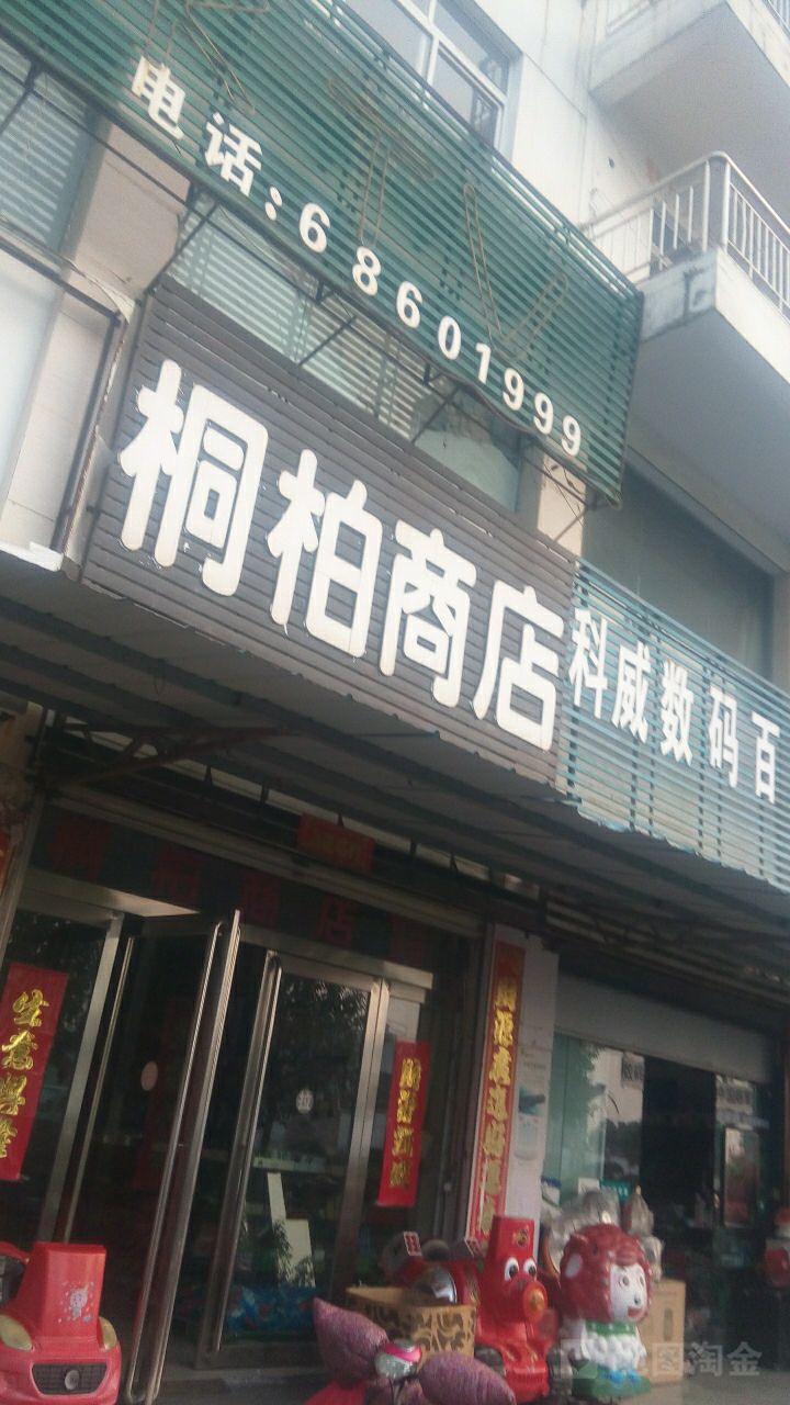 桐柏县埠江镇桐柏商店