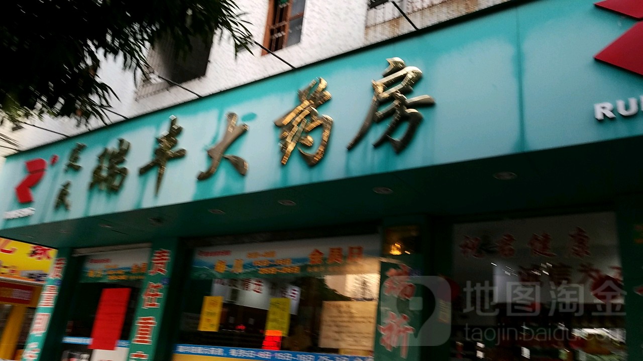 瑞丰大药房(定民路店)