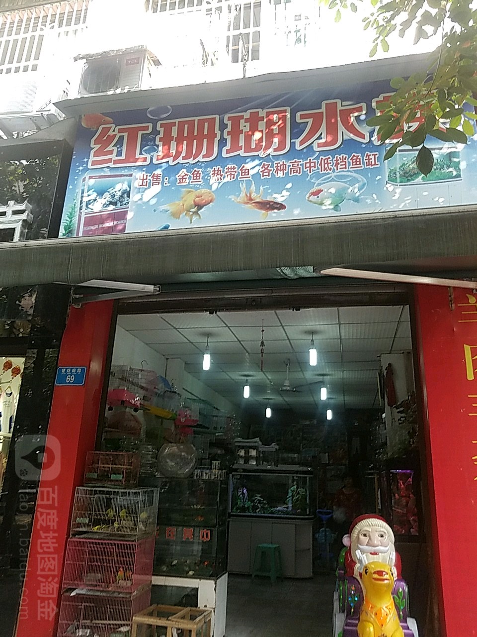 红珊瑚水族