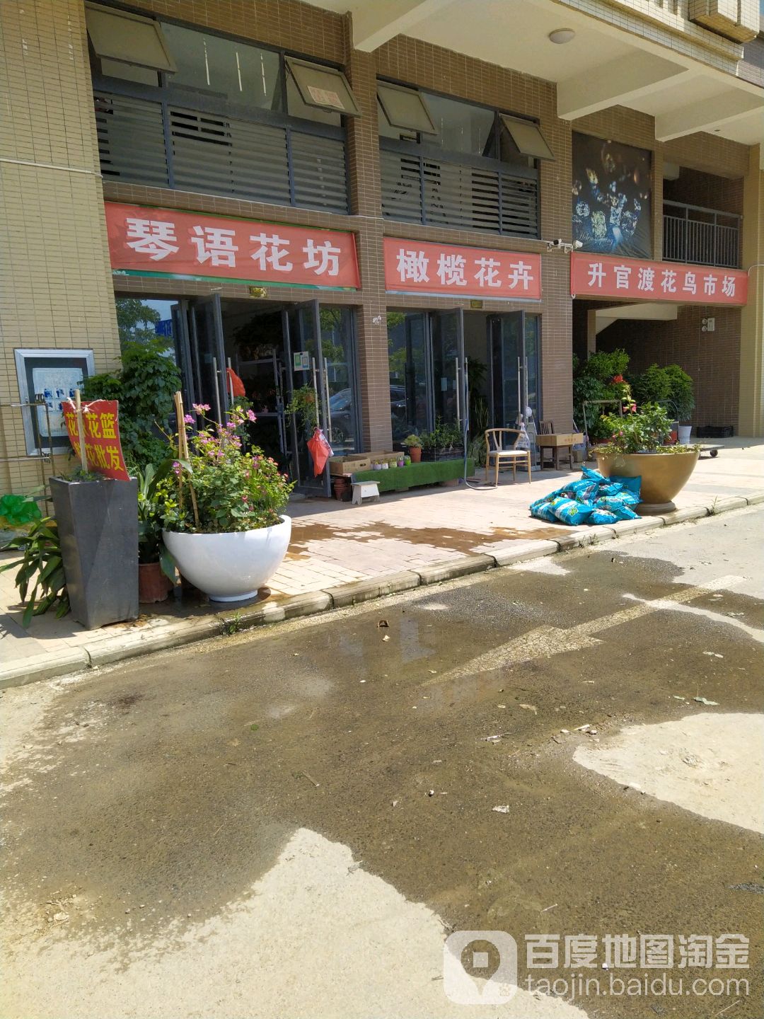 彭姐花卉