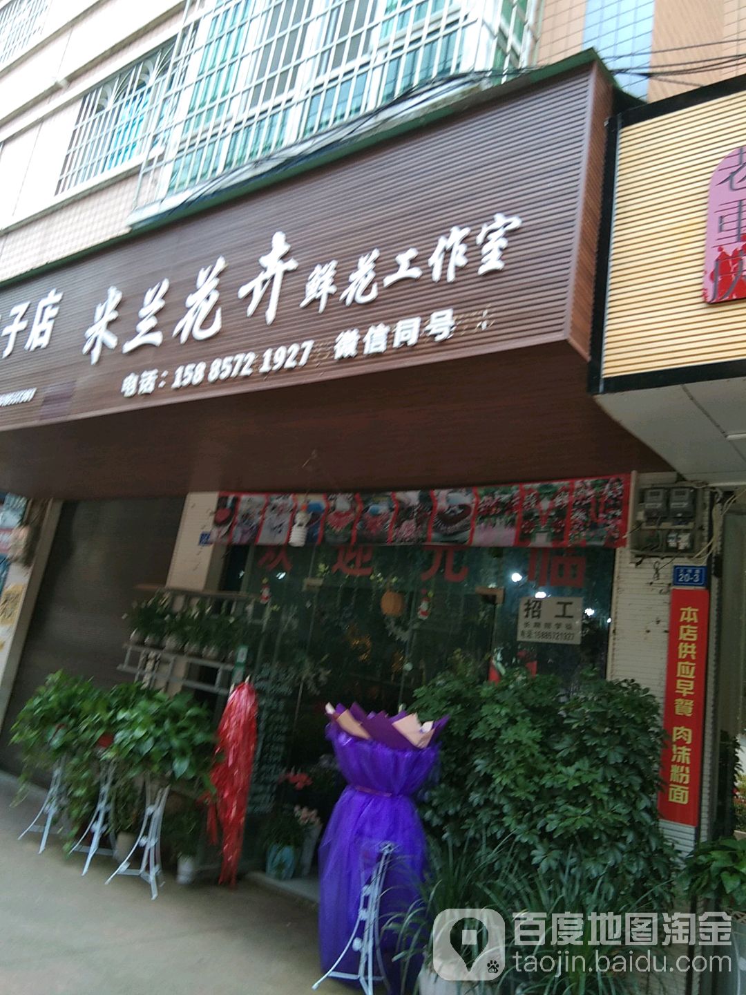 米兰花卉鲜花工作室